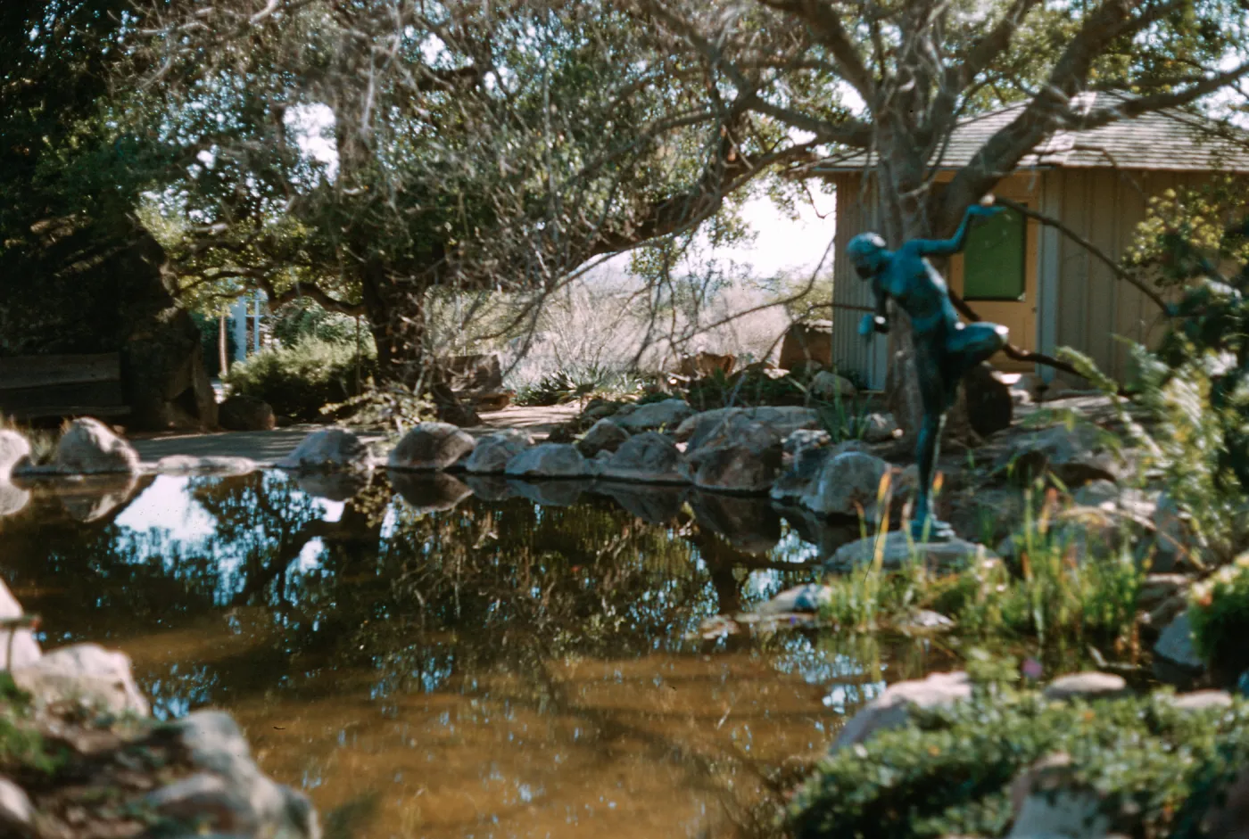 Frog Princess Statue, pond, SBBG
