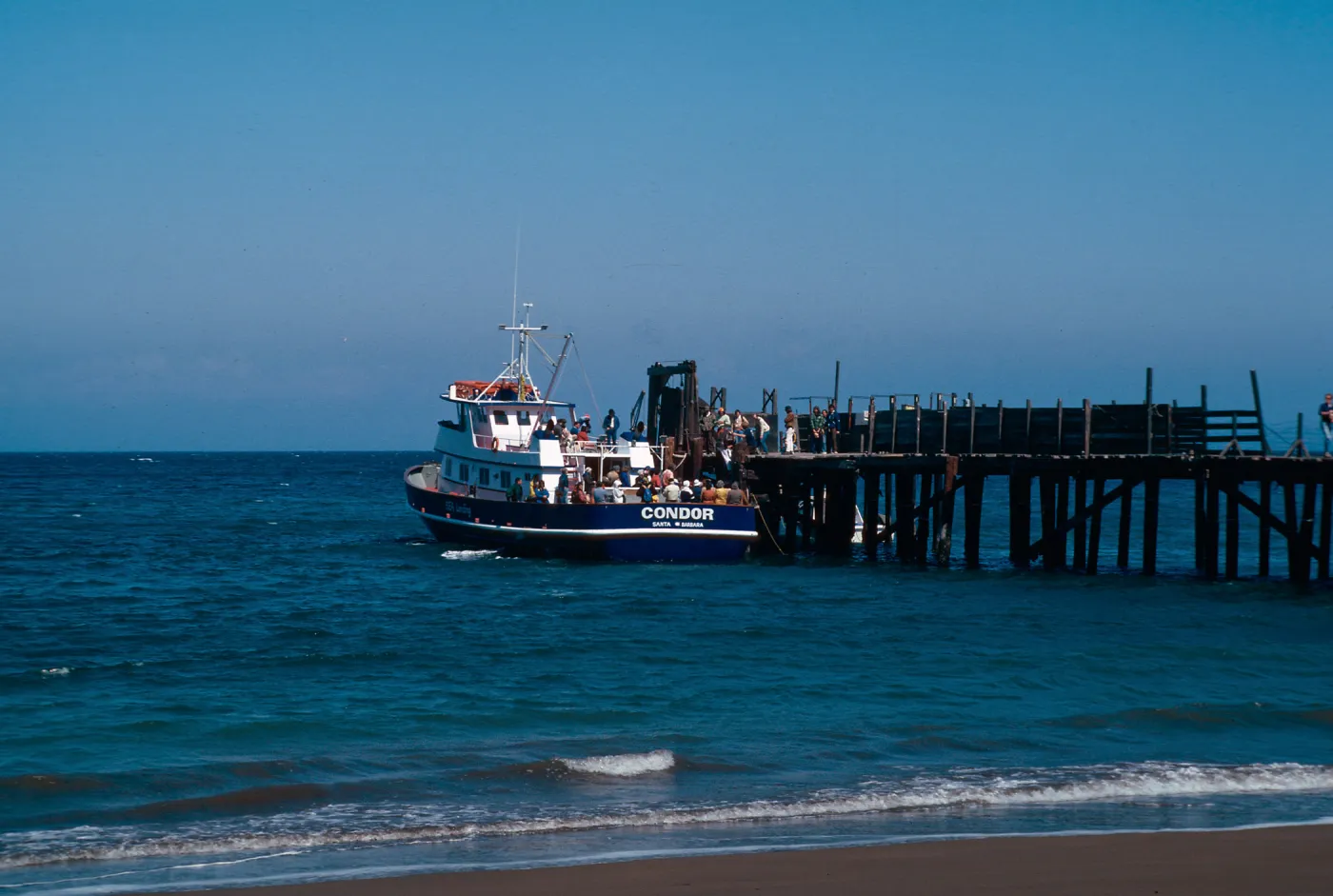 â€œThe Condorâ€ at Santa Cruz Island, 3/15/1980