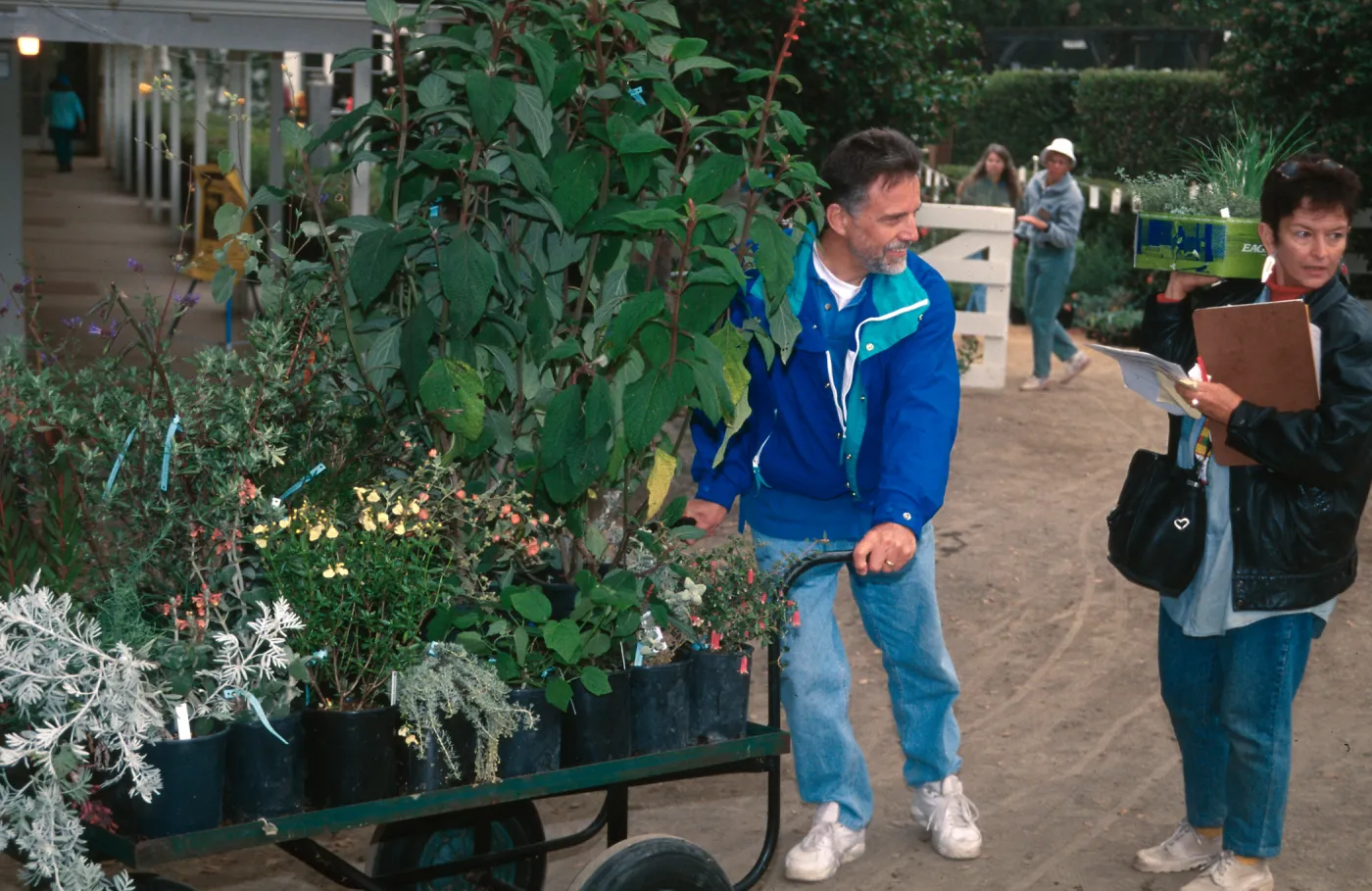 fall plant sale, SBBG