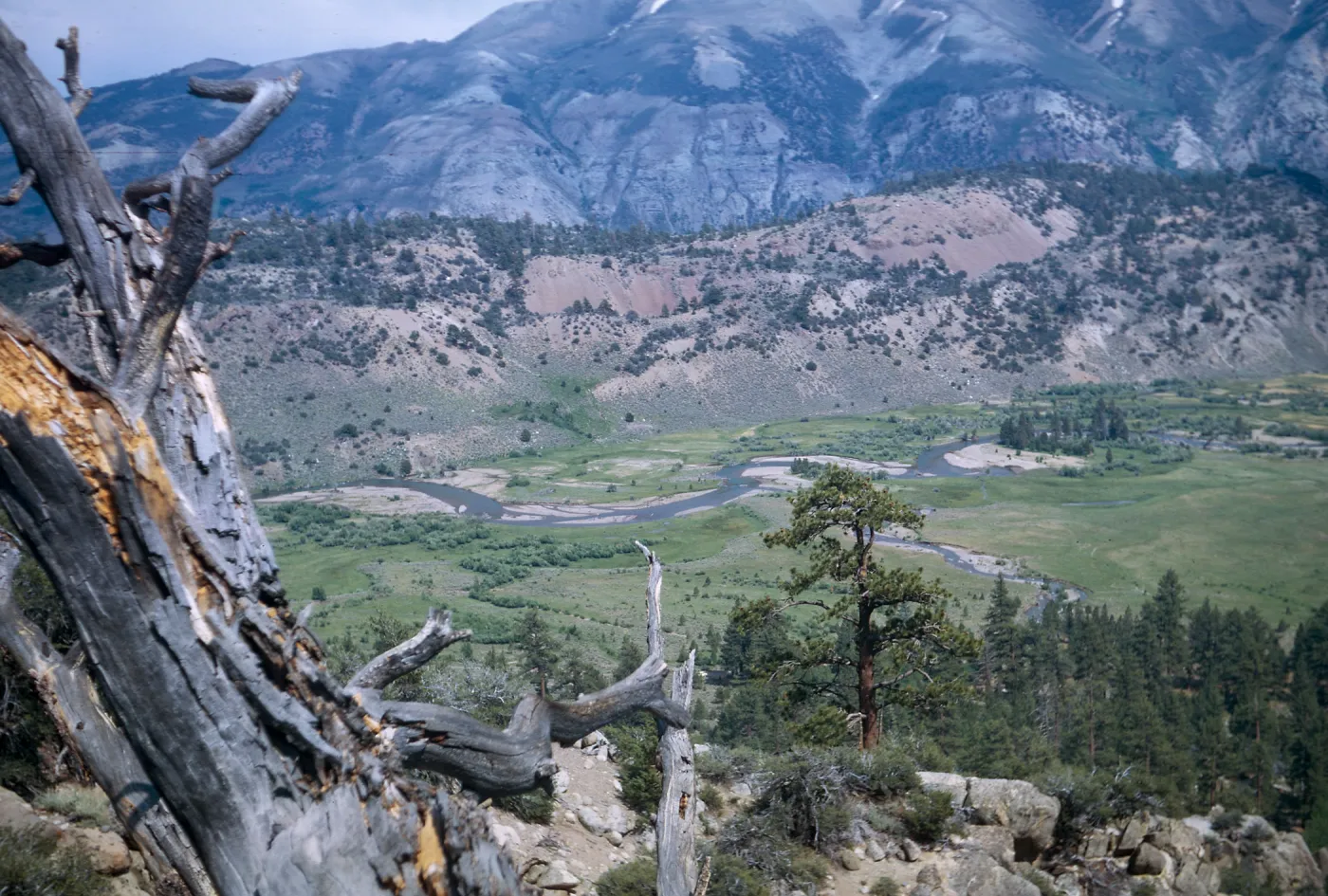 East from top of Ebbett's Pass