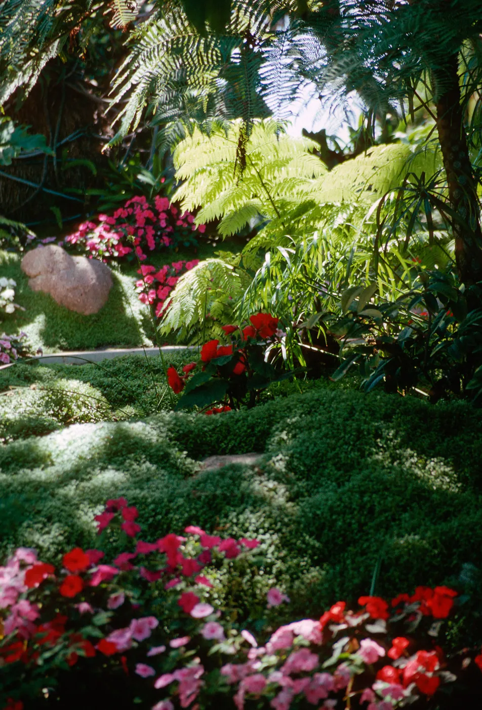 Self-Realization Gardens, Encinitas