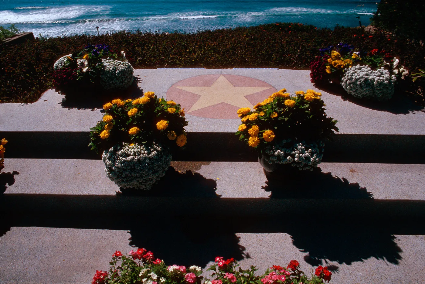 Self-Realization Garden