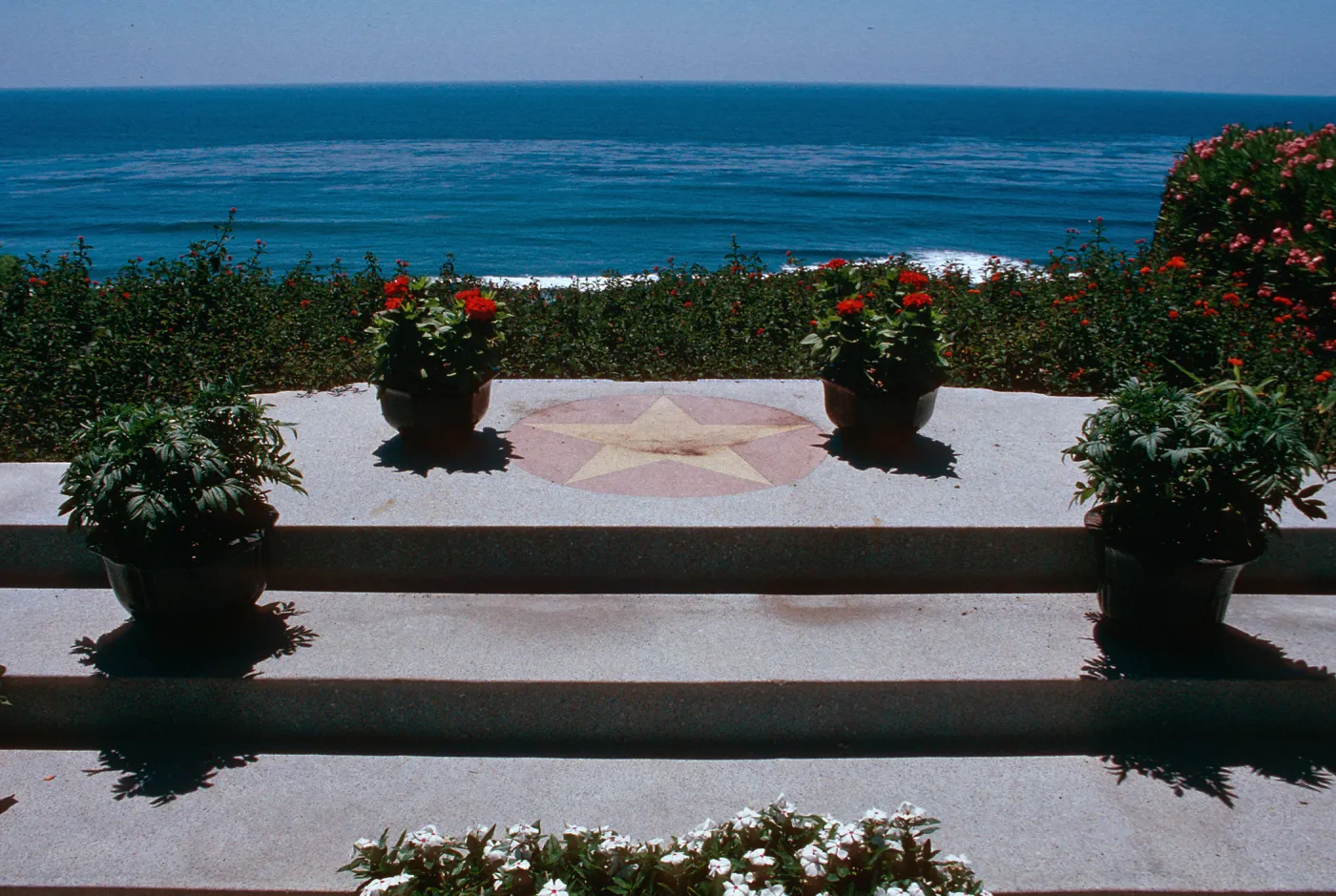 Self-Realization Garden