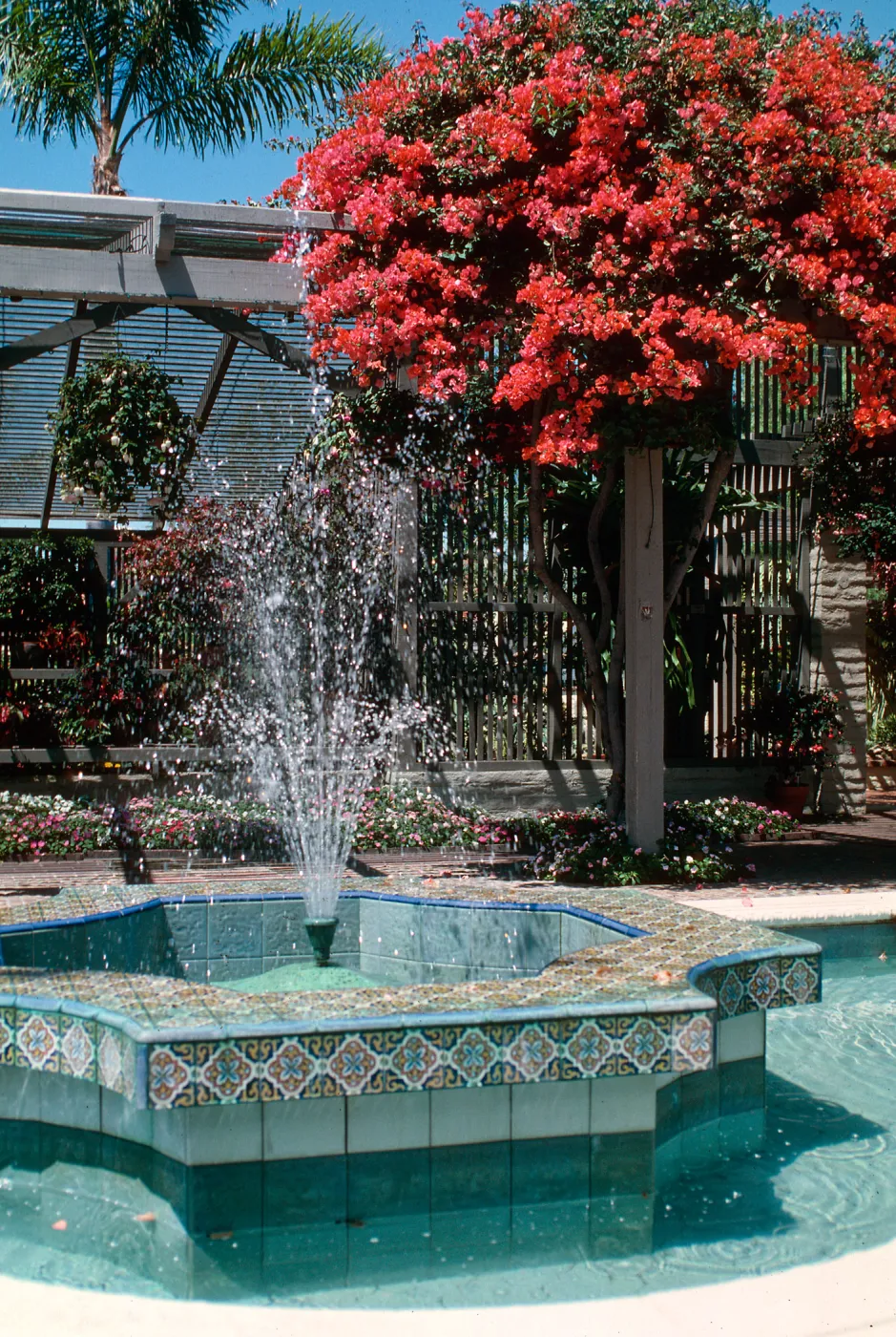 Sherman Library & Gardens, fountain