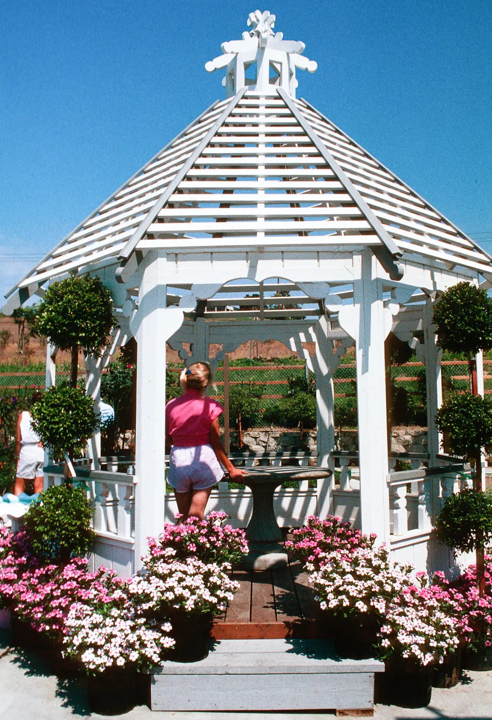 Capistrano Nursery--gazebo