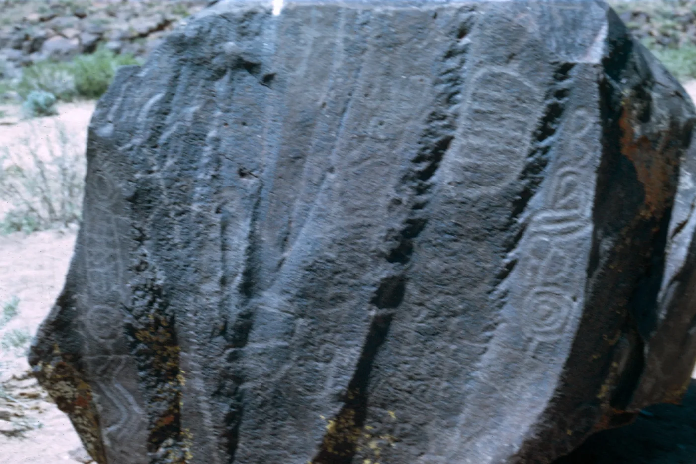 Field Trip, Big & Little Petroglyph Canyons