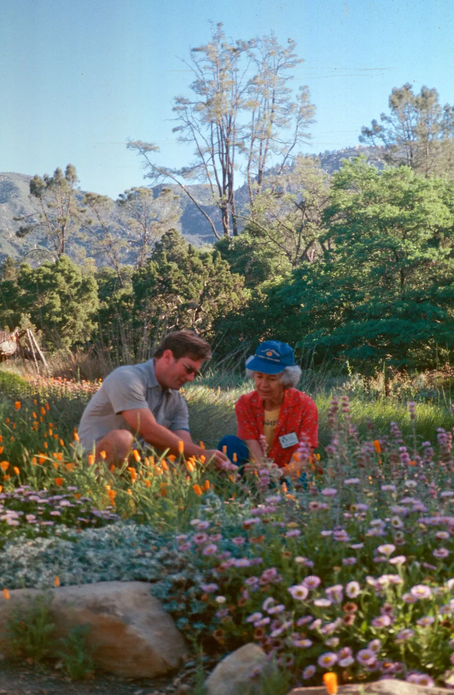 Gardener's Grounds Assistant, Master Gardener Volunteer Slide Show, Santa Barbara Botanic Garden