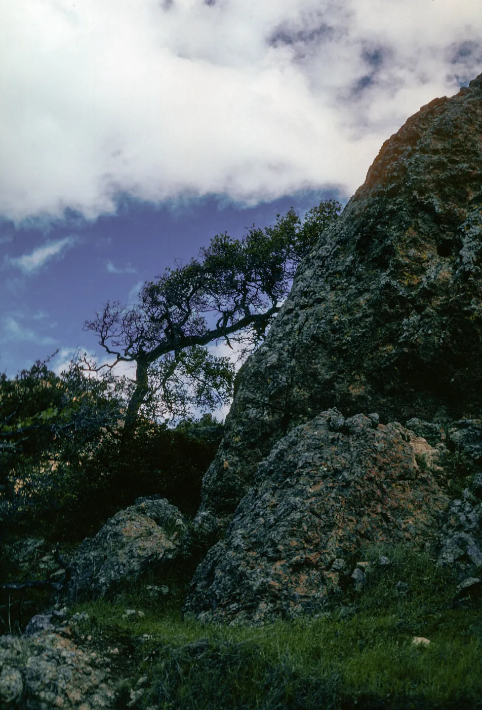Ridge SW of La Cascada, Santa Cruz Island
