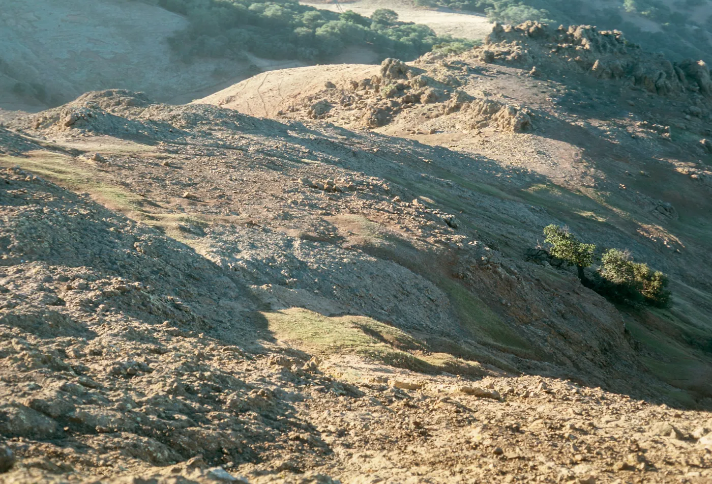 Santa Cruz Island, overgrazed land