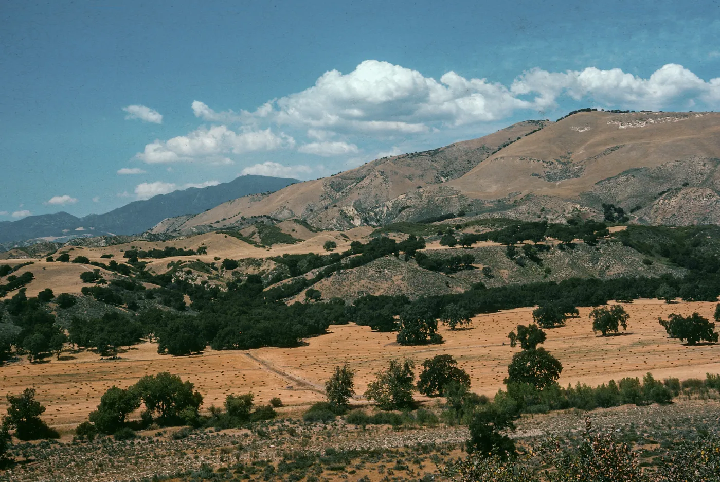 Sage Hill, Santa Ynez Valley