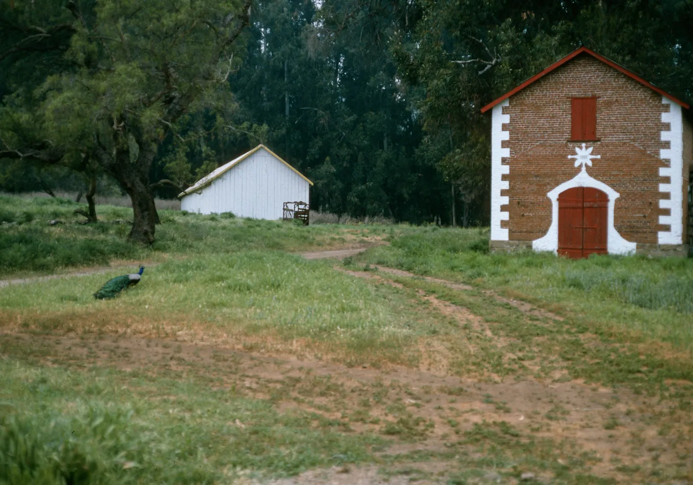 Barns, Santa Cruz Island