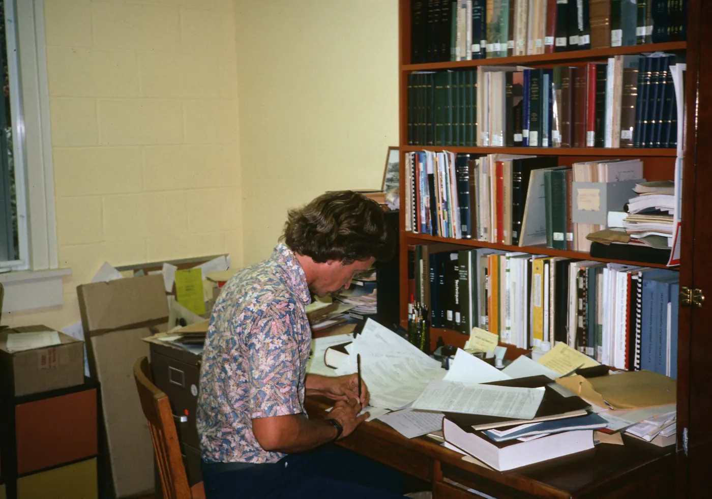 Steve Junak, working in Herbarium, SBBG