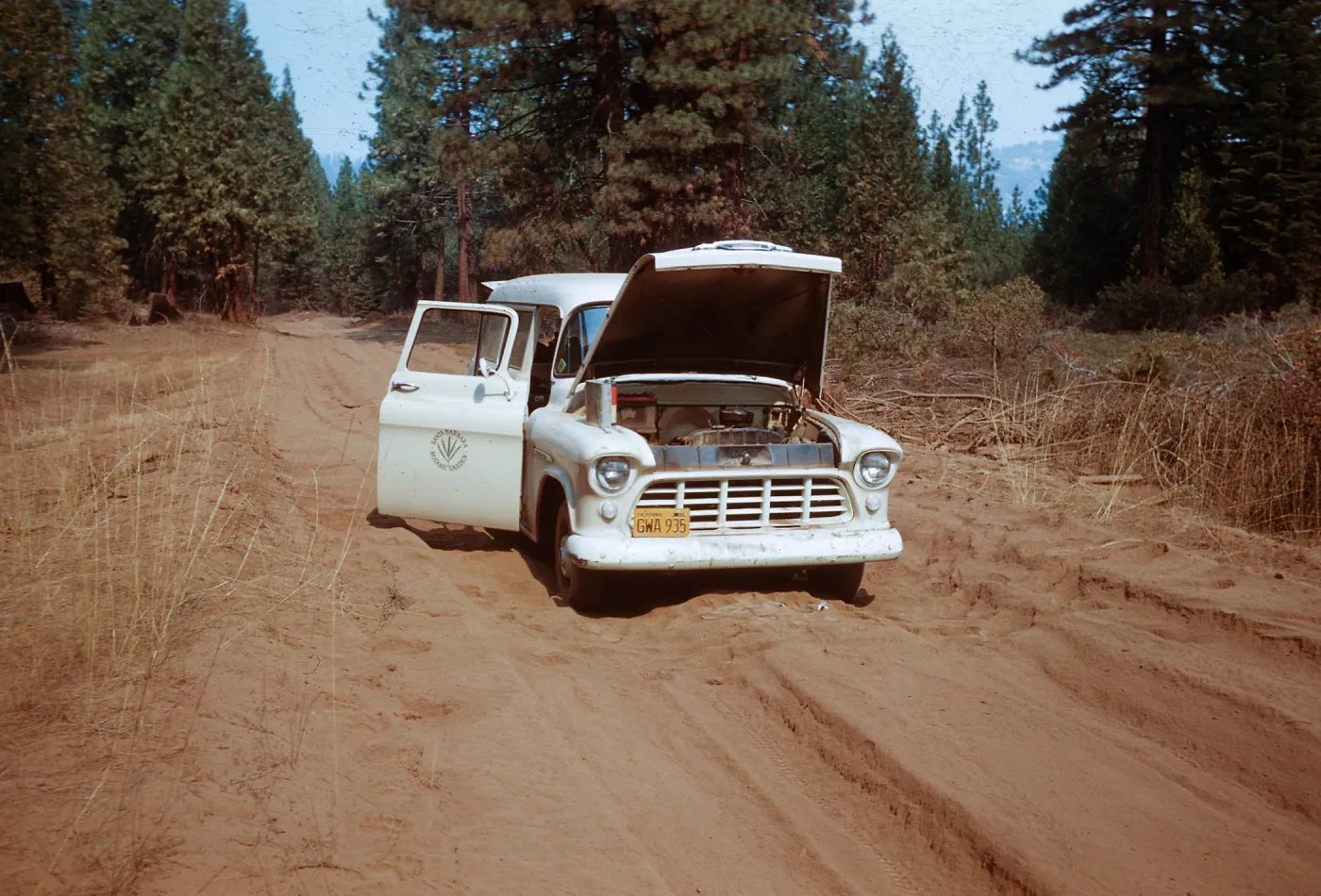 Santa Barbara Botanic Garden Sequoia trip, Sequoia National Park, 1961