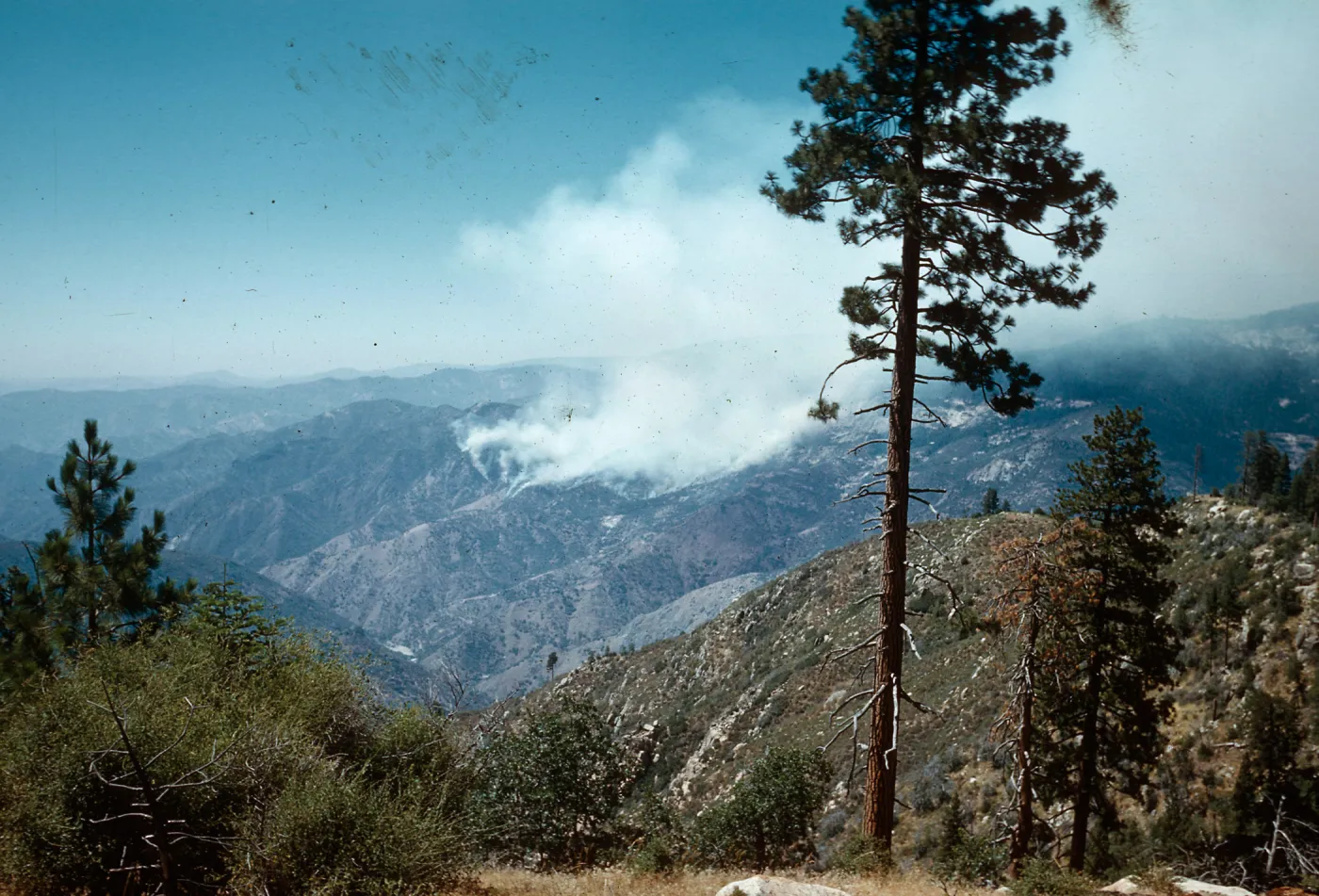 Fire, Santa Barbara Botanic Garden trip, Sequoia National Park, 1961