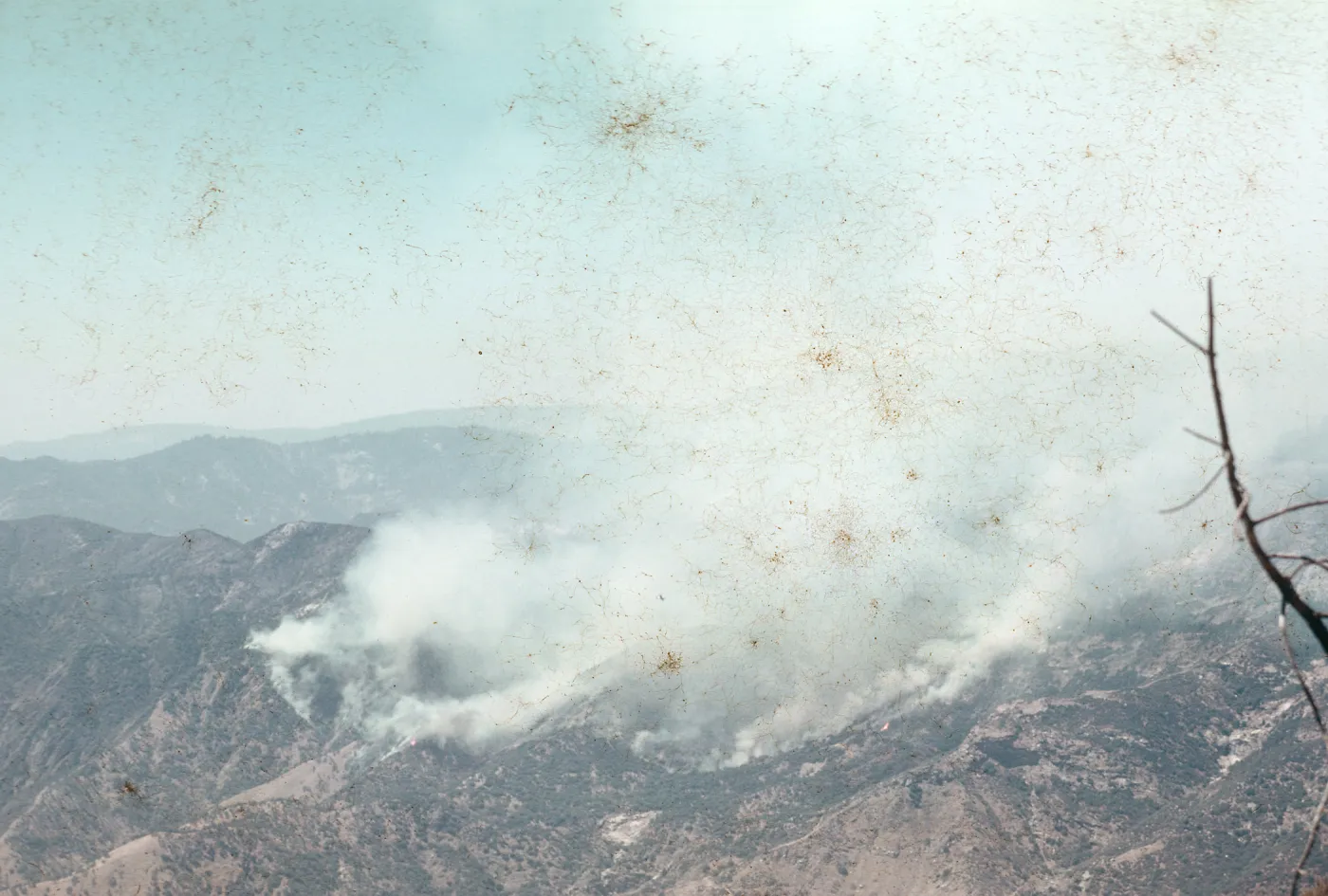 Fire, Santa Barbara Botanic Garden trip, Sequoia National Park, 1961