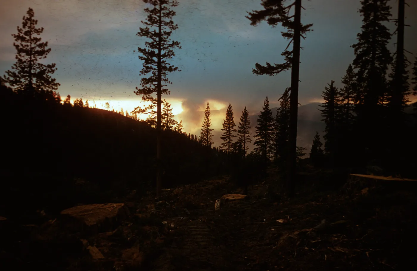 Fire, Santa Barbara Botanic Garden trip, Sequoia National Park, 1961