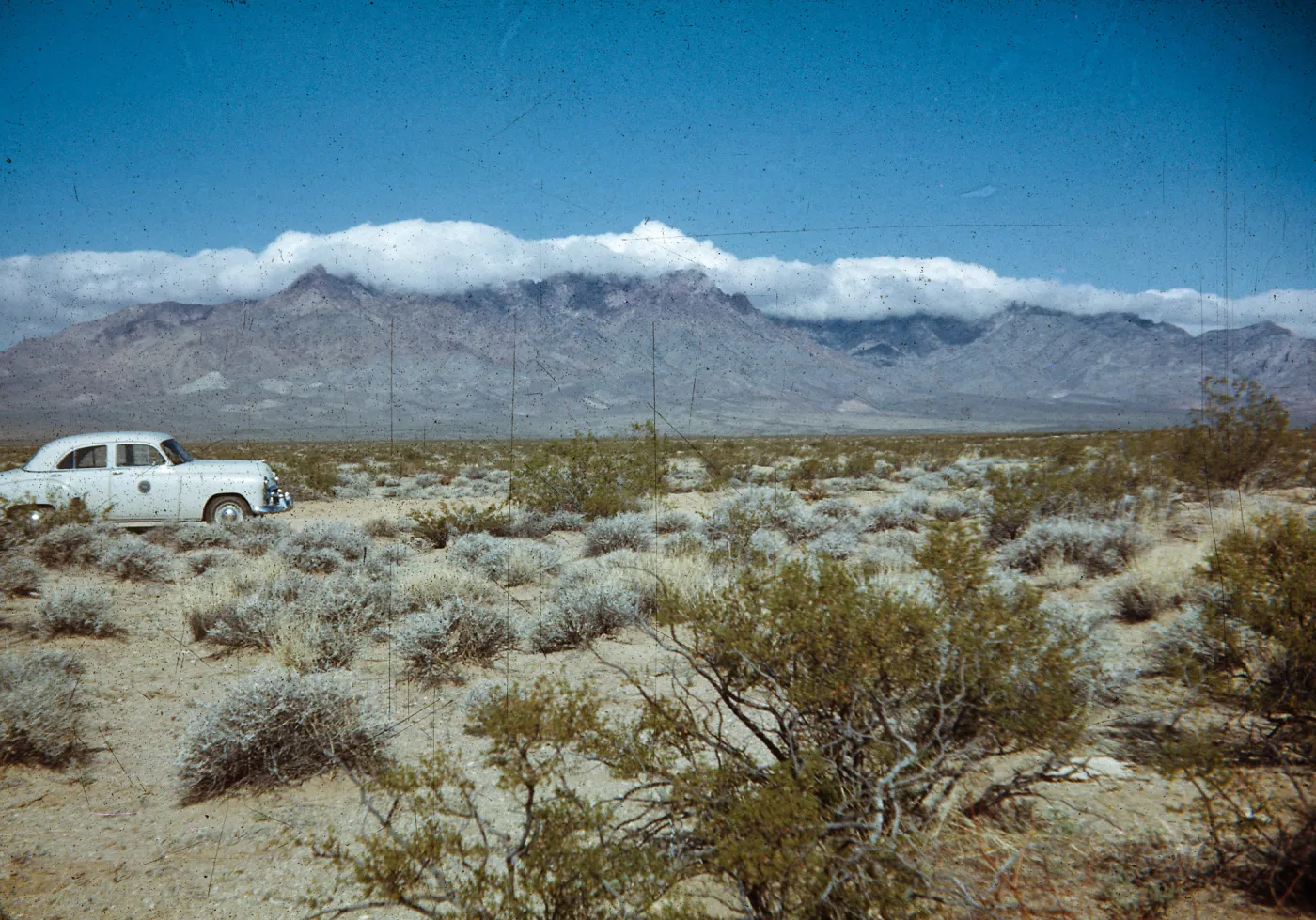 Larrea/Ambrosia, cloud-topped Providence Mountains and desert shrubs from Mitchells-Cima Road junction, San Bernardino County