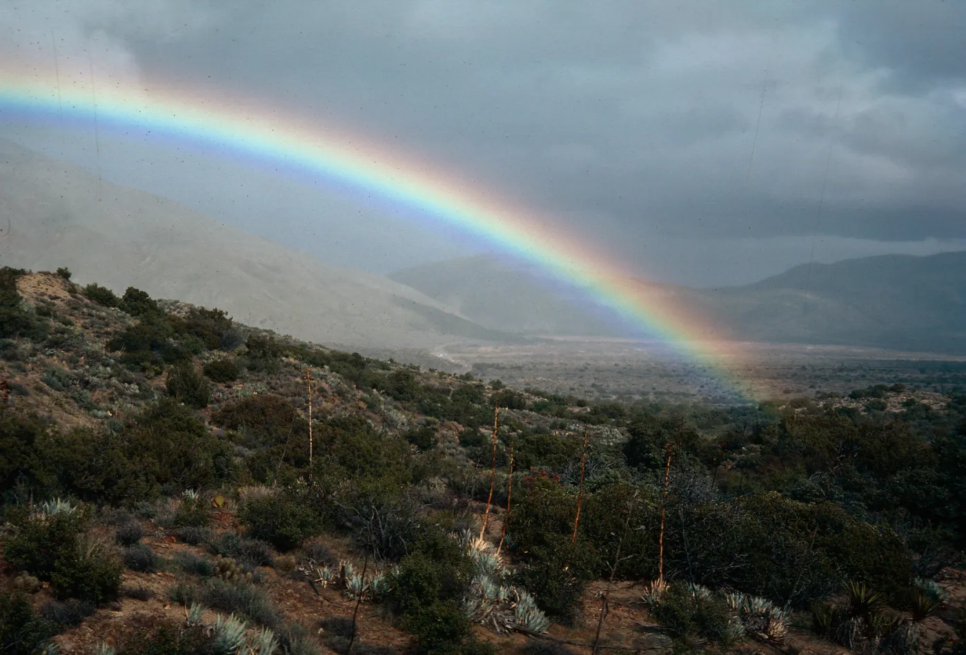 Anza-Borrego