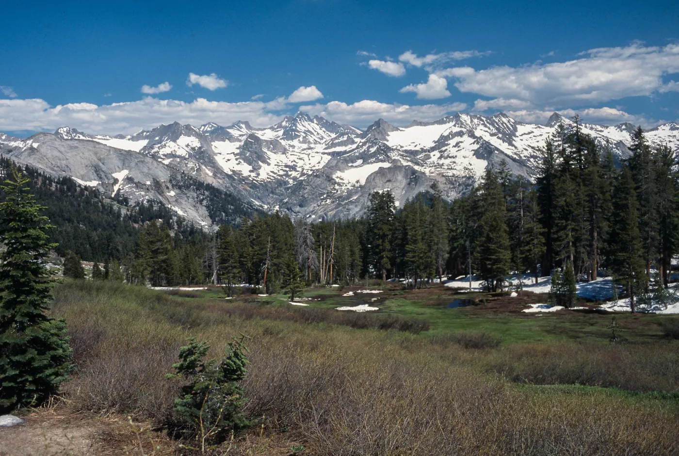 Sequoia National Park