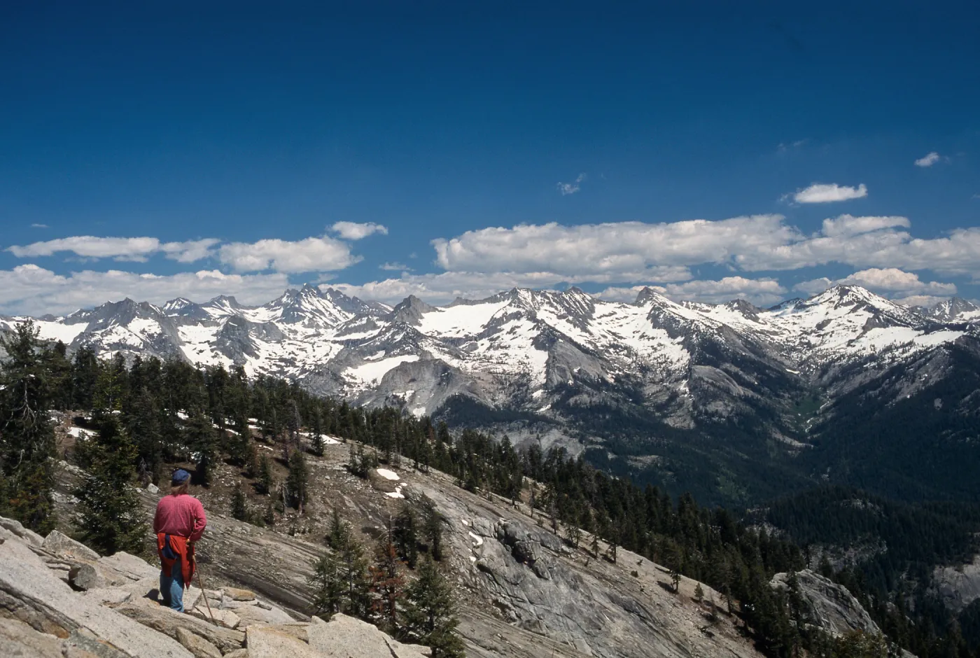 Sequoia National Park