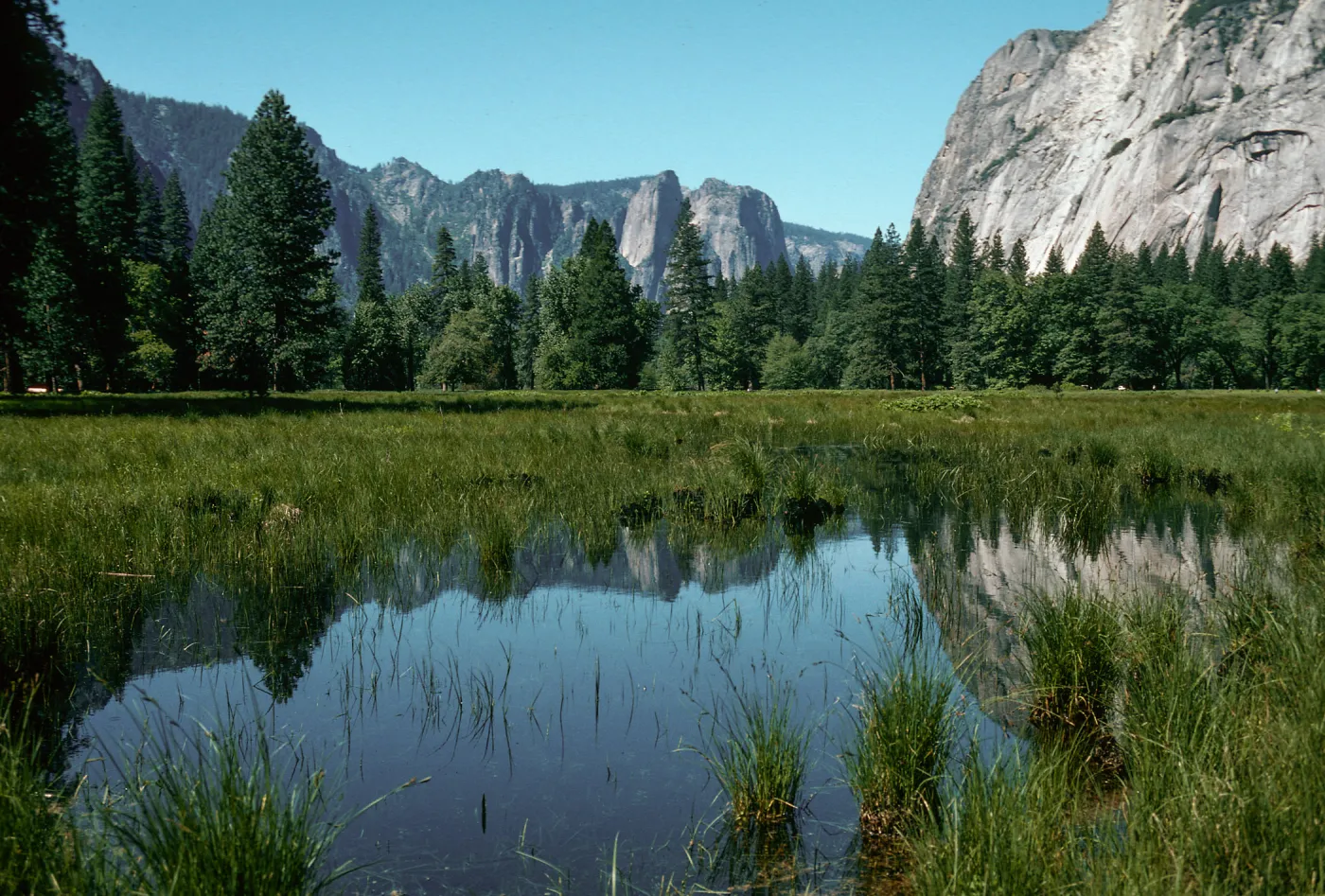 Leidig Meadow, Yosemite Valley, Mariposa County