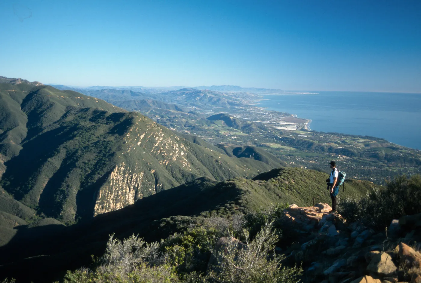 chaparral, Cold Springs Trail ?, Santa Ynez Mountains