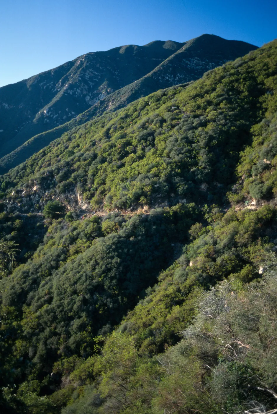 Santa Ynez Mountains