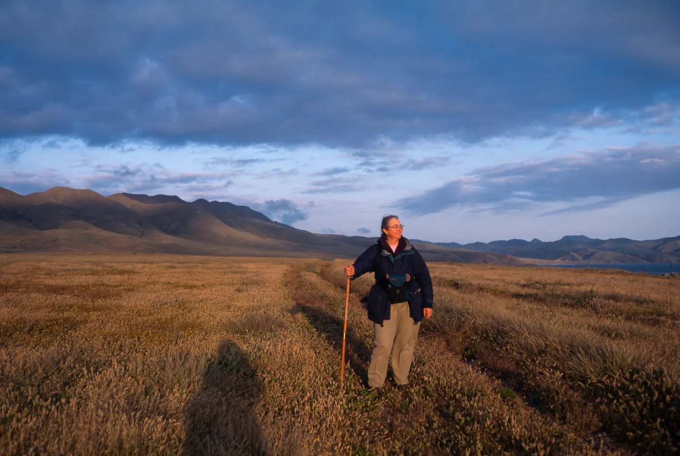 Nancy Vivrette at the site of her transect on Santa Cruz Island