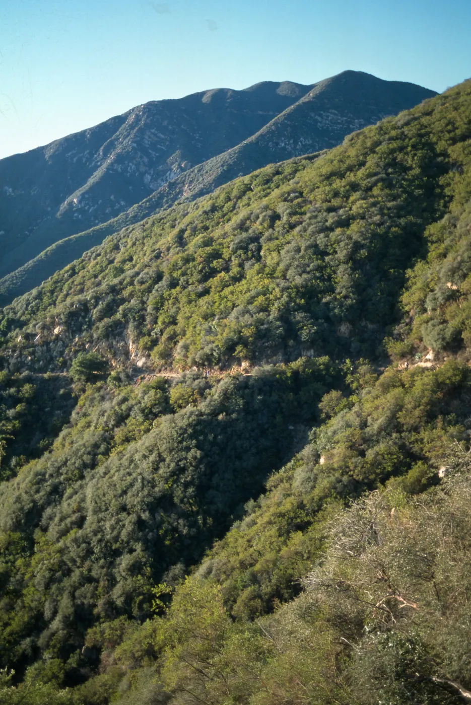 Santa Ynez Mountains