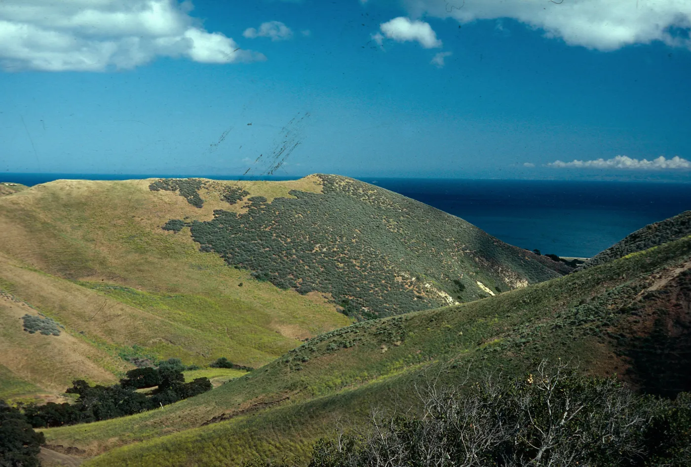 Sage Scrub/Grassland, contact, Hollister Ranch, Santa Barbara County