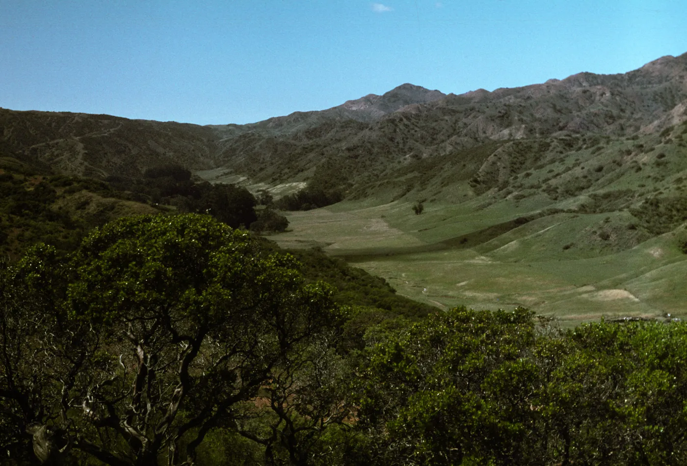 Central Valley, looking west, Santa Cruz Island