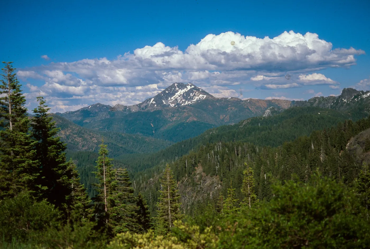 Humboldt Del-Norte, June