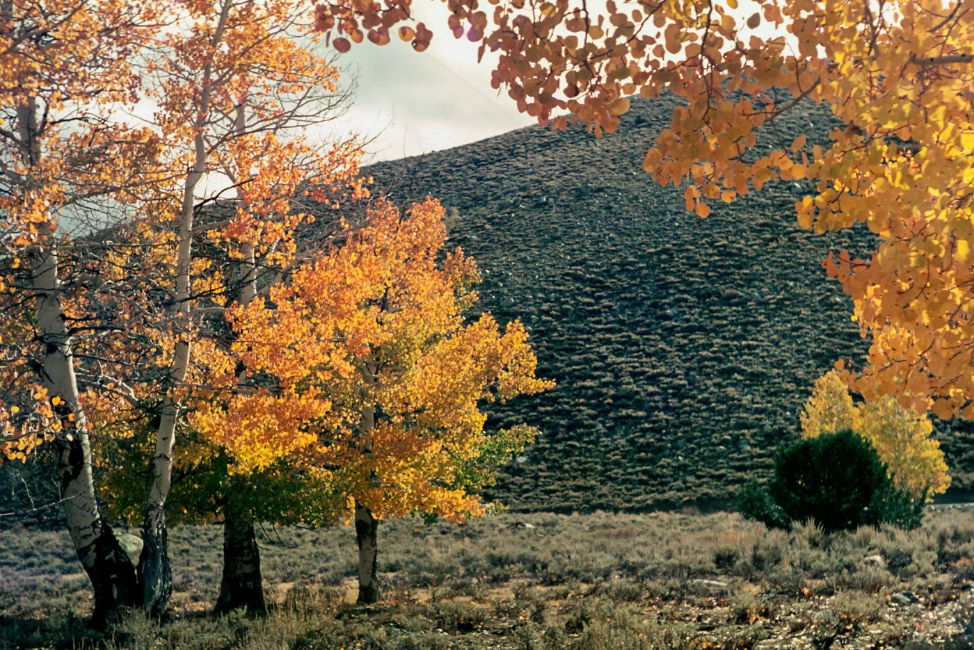 Green Creek, south of Bridgeport