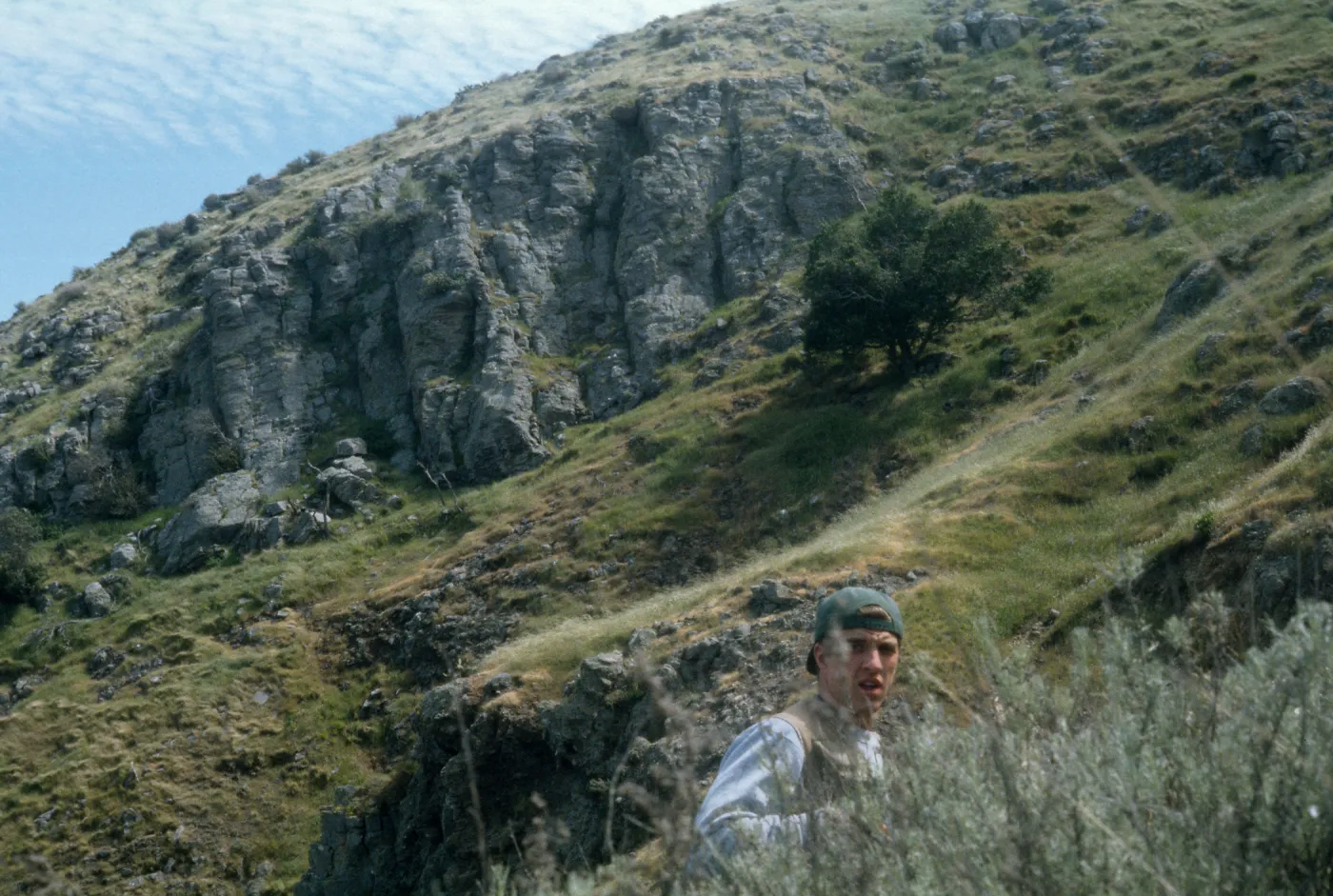 Dissanthelium californicum, SCMI