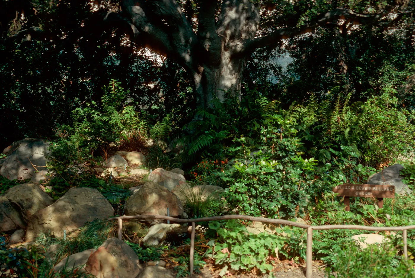 Sellar and Bessie Bullard Brook