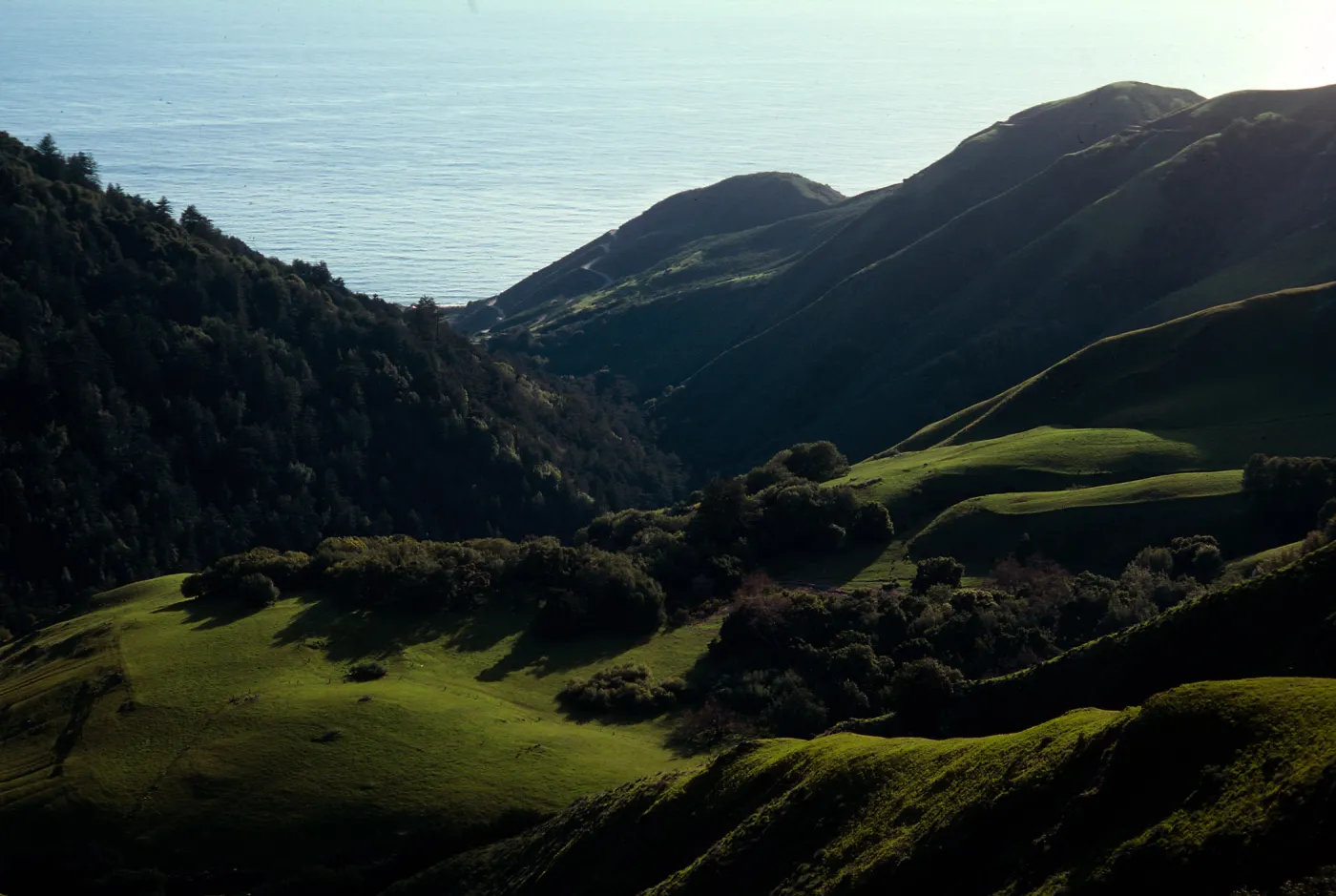 Mill Creek Drainage