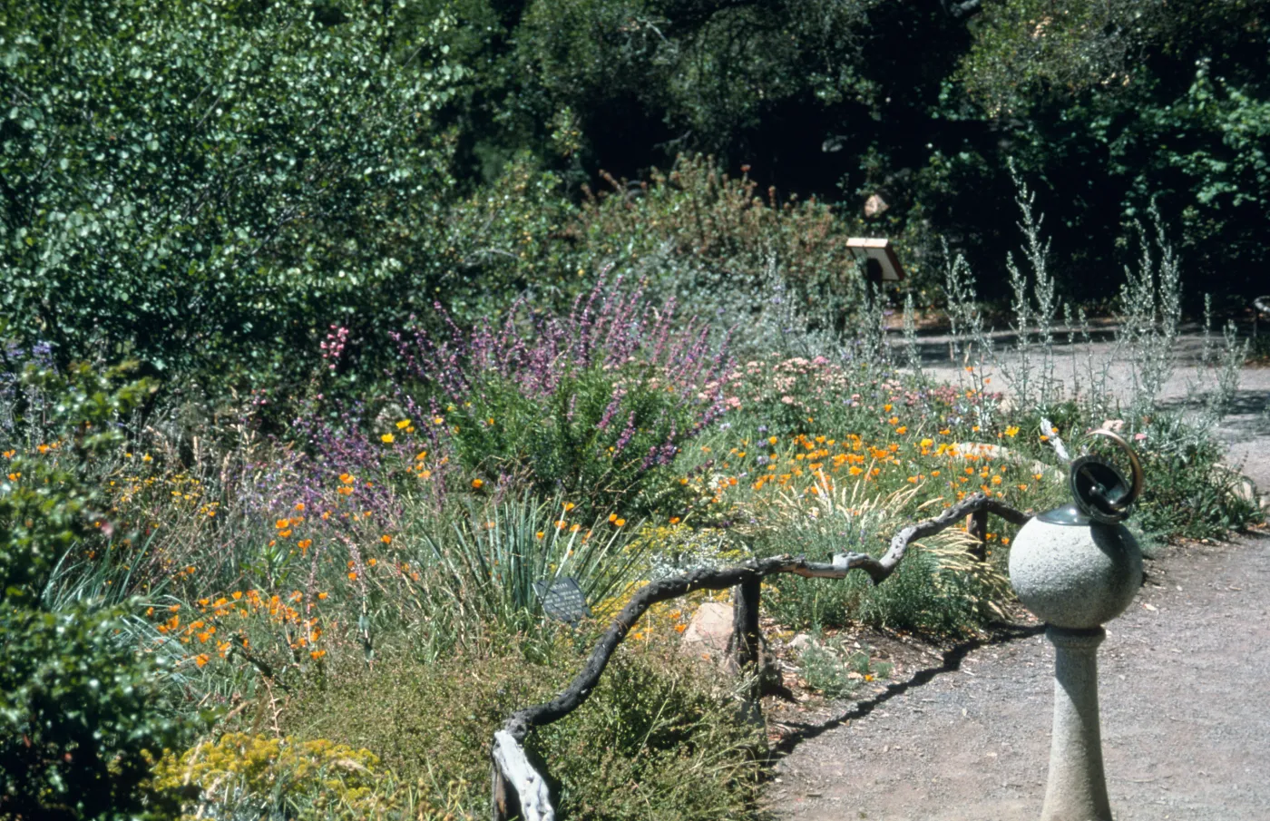 Mixed border at the Meadow