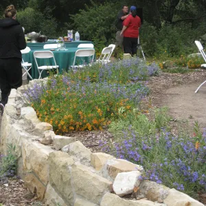 Unfinished meadow terrace wall