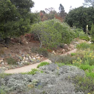 East side of Meadow and the parking lot bank as seen from the Herb Parker structure