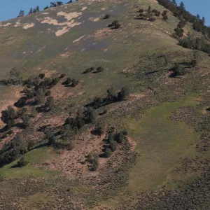 Grass Mountain