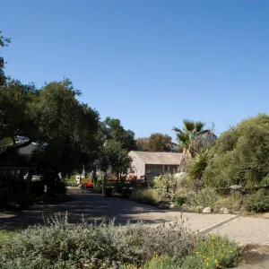 Santa Barbara Botanic Garden after the Jesusita Fire
