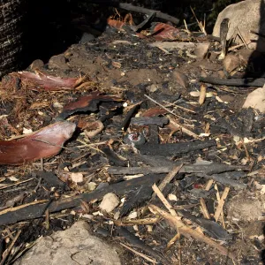 melted sprinkler head in Desert Section, after the Jesusita Fire, burned irrigation