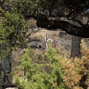 Santa Barbara Botanic Garden after the Jesusita Fire