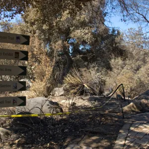 Santa Barbara Botanic Garden after the Jesusita Fire
