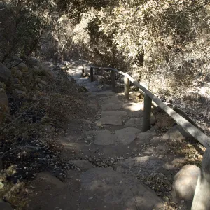 Santa Barbara Botanic Garden after the Jesusita Fire