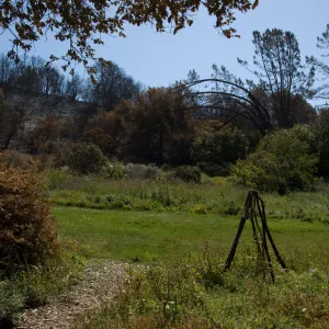 Santa Barbara Botanic Garden after the Jesusita Fire