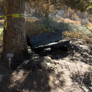 Santa Barbara Botanic Garden after the Jesusita Fire, burned wood bench