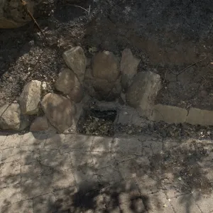 Santa Barbara Botanic Garden after the Jesusita Fire, burned plastic drain