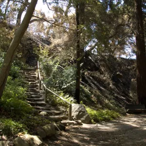 Santa Barbara Botanic Garden after the Jesusita Fire, Indian Steps