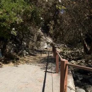 Santa Barbara Botanic Garden after the Jesusita Fire, burned area around dam